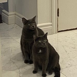 Meet your Posher, Robert